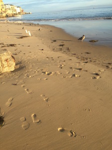 footprints